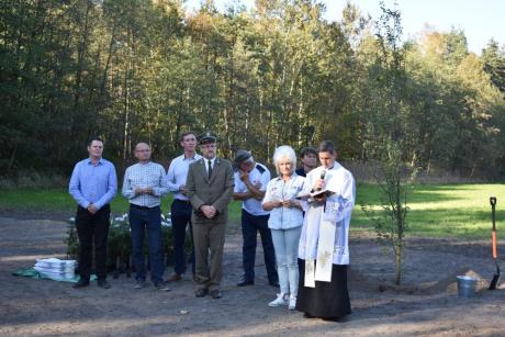Strefa Aktywności Ruchowej w Lędzinach