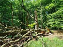 Zaproszenie na konsultacje