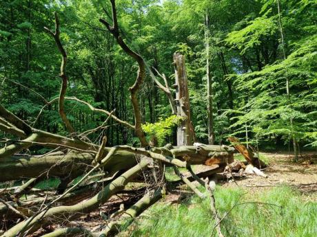 Zaproszenie na konsultacje