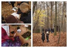 Rezerwacja zajęć edukacyjnych w Nadleśnictwie Katowice